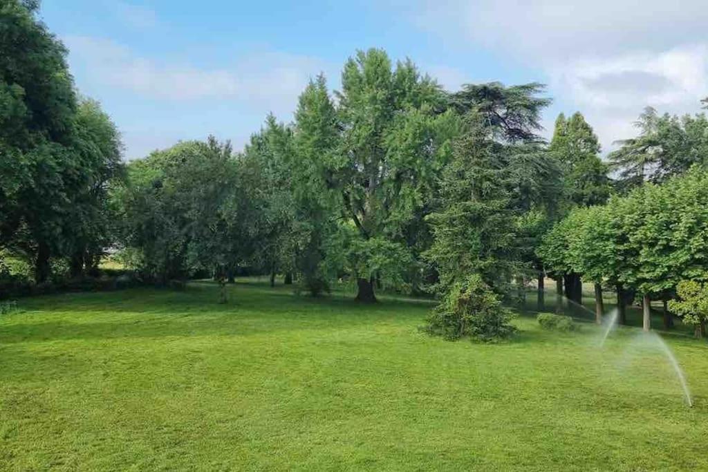 Chateau D'Issandou Golfech Eksteriør billede
