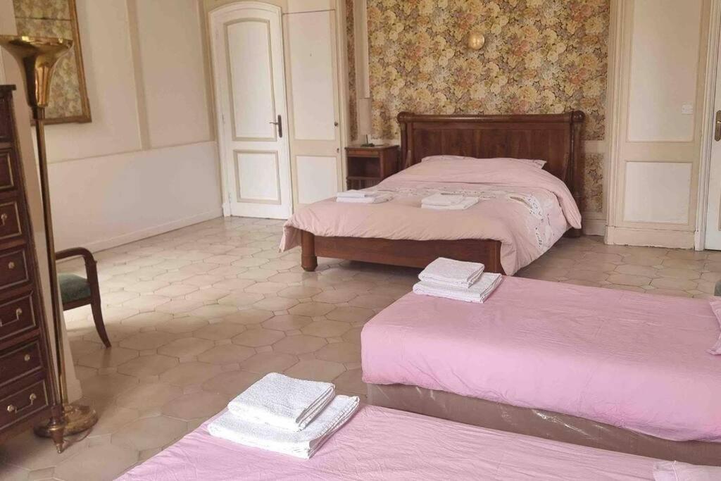 Chateau D'Issandou Golfech Eksteriør billede
